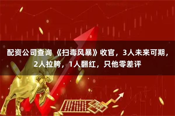 配资公司查询 《扫毒风暴》收官，3人未来可期，2人拉胯，1人翻红，只他零差评