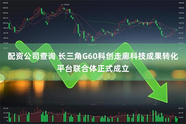 配资公司查询 长三角G60科创走廊科技成果转化平台联合体正式成立