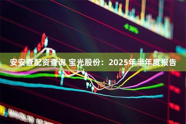安安查配资查询 宝光股份：2025年半年度报告