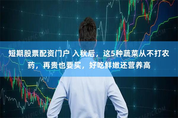 短期股票配资门户 入秋后，这5种蔬菜从不打农药，再贵也要买，好吃鲜嫩还营养高