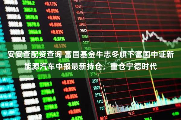 安安查配资查询 富国基金牛志冬旗下富国中证新能源汽车中报最新持仓，重仓宁德时代