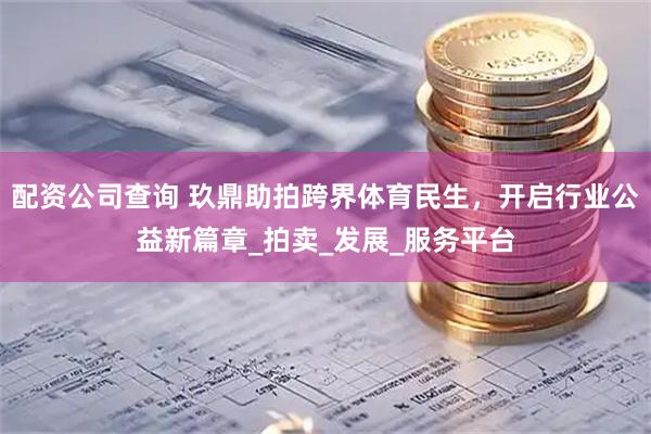 配资公司查询 玖鼎助拍跨界体育民生，开启行业公益新篇章_拍卖_发展_服务平台