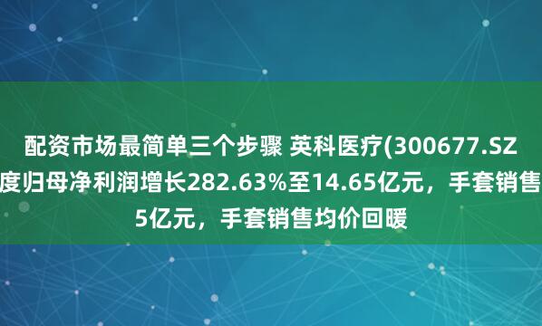 配资市场最简单三个步骤 英科医疗(300677.SZ)2024年度归母净利润增长282.63%至14.65亿元，手套销售均价回暖
